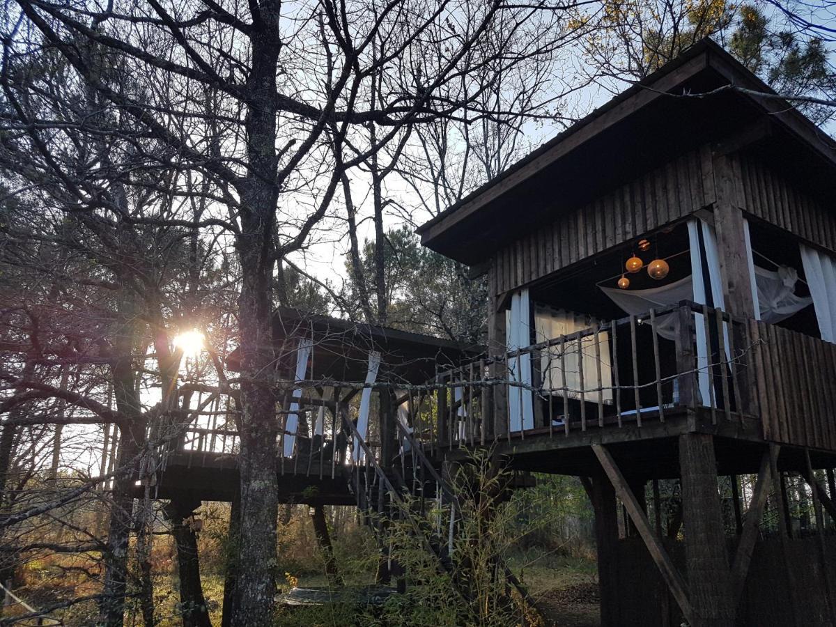 Les Landines Bed & Breakfast Origne  Dış mekan fotoğraf