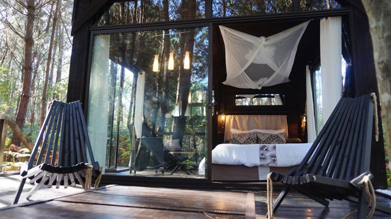 Les Landines Bed & Breakfast Origne  Dış mekan fotoğraf