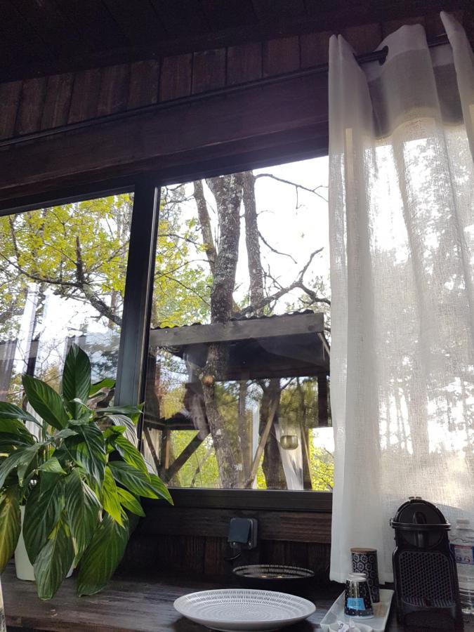 Les Landines Bed & Breakfast Origne  Dış mekan fotoğraf